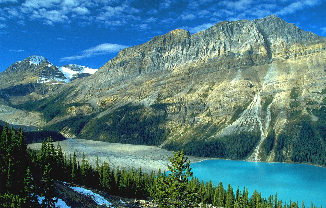 Фото обои лес, горы, озеро, скалы, Канада, Альберта, Banff National Park, солнечно