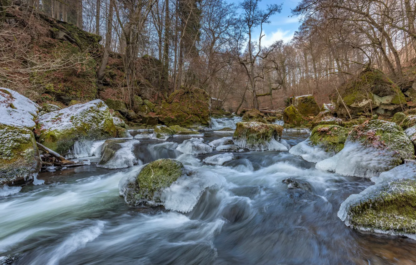 Фото обои лес, камни, мох, лёд, Германия, речка, frozen, South Eifel