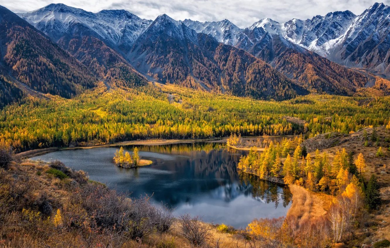 Фото обои ice, trees, beautiful, mountains, lake, snow, cold
