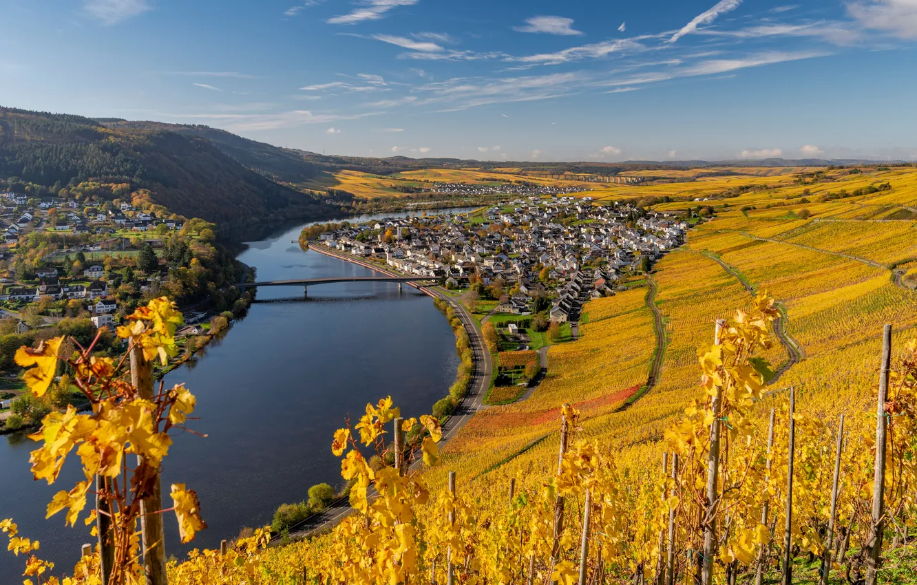 Фото обои Осень, Германия, Холм, Пейзаж, Виноградник, Rheinland-Pfalz