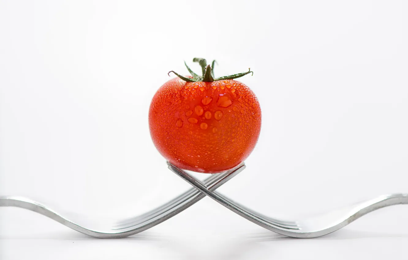 Фото обои томат, помидор, вилки, balance