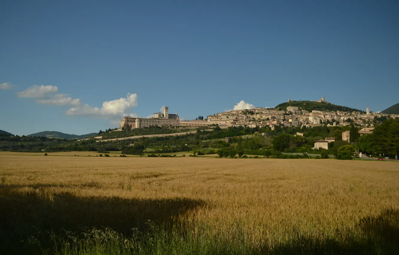 Фото обои Италия, Поля, Italy, Italia, Ассизи, Fields, Assise