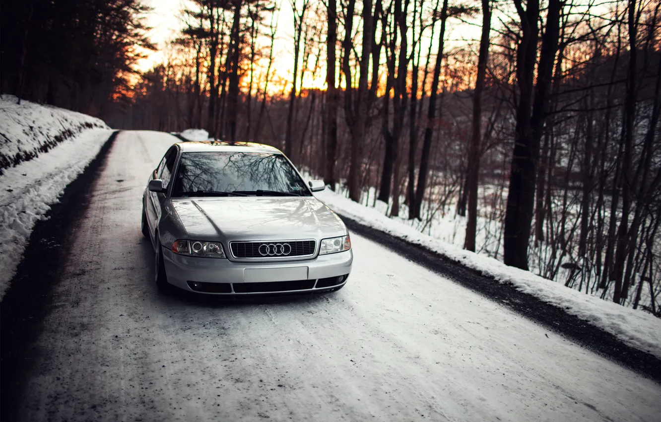 Фото обои лес, снег, закат, Audi, ауди, stance, догога