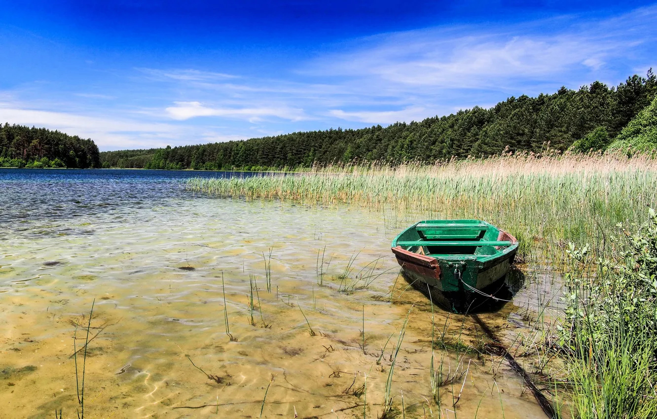 Фото обои лес, деревья, озеро, камыши, лодка, Польша, солнечно, Kotel Lake