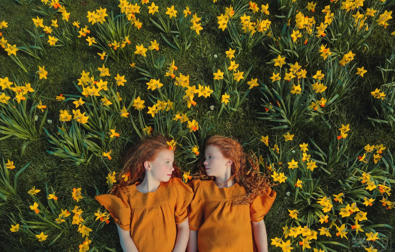 Фото обои девочки, веснушки, рыжие волосы, нарциссы, Дарья Билык