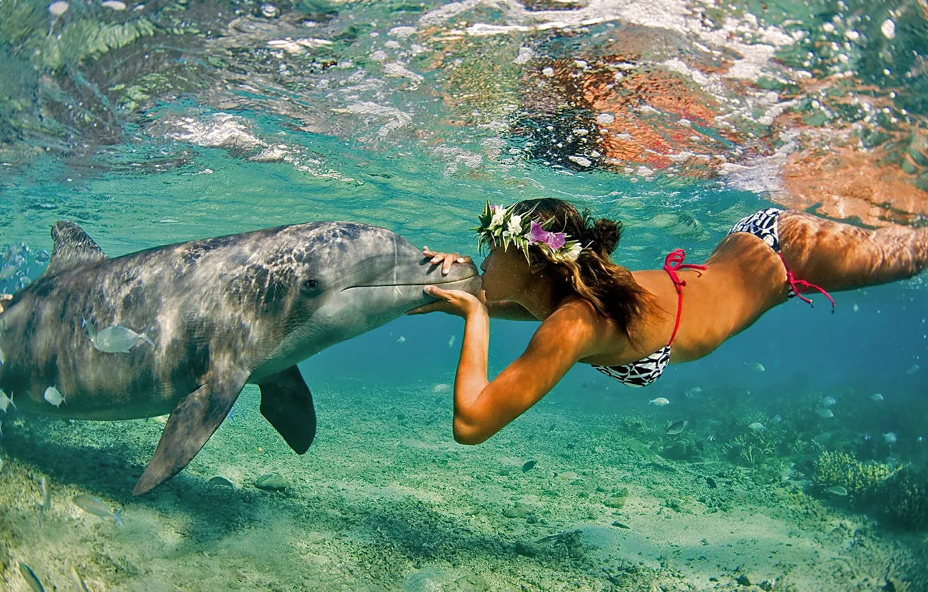 Фото обои Природа, Океан, Море, Девушка, Поцелуй, Лето, Дельфин, Пара