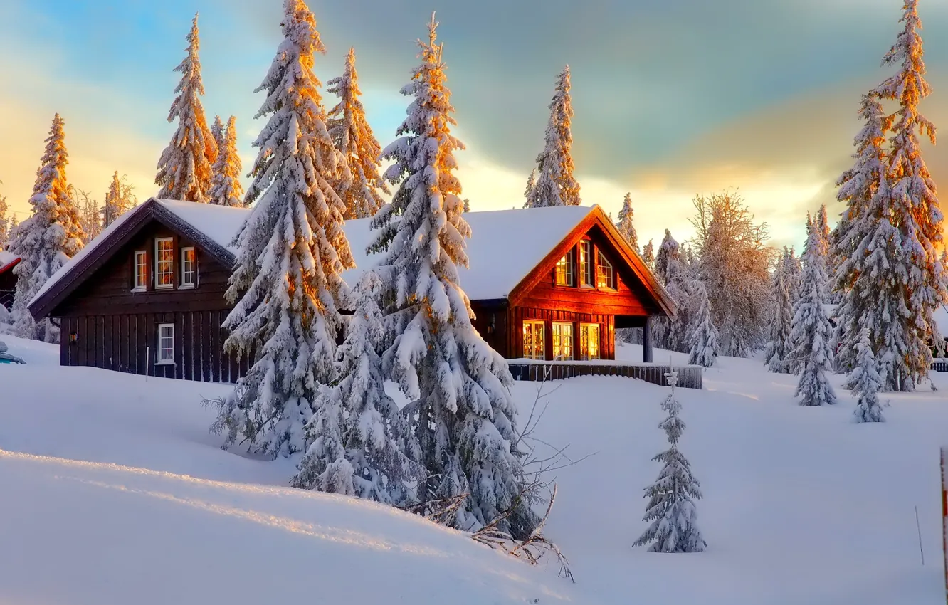 Фото обои зима, лес, небо, снег, деревья, пейзаж, природа, дом