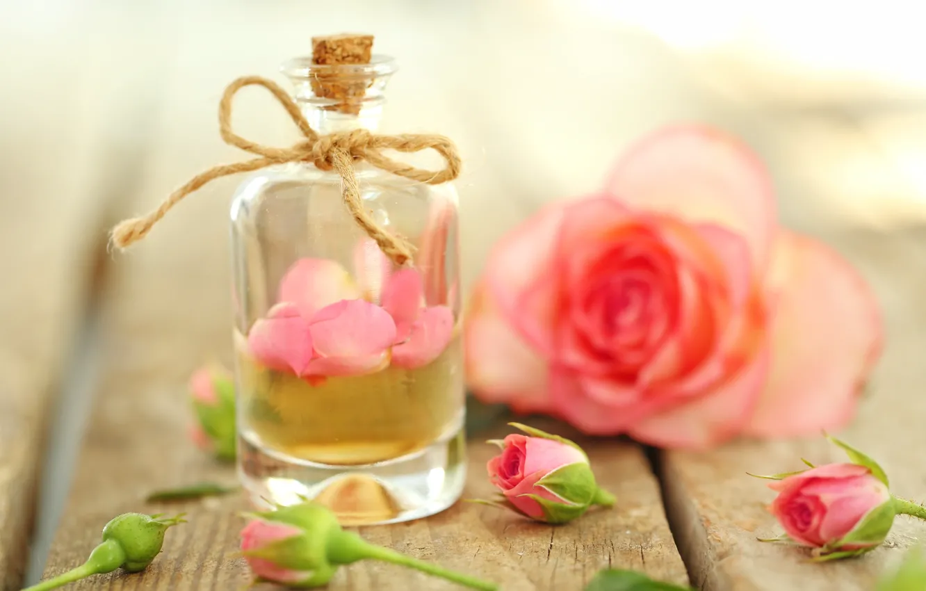 Фото обои духи, лепестки, rose, pink, petals, розовые розы, oil, parfume