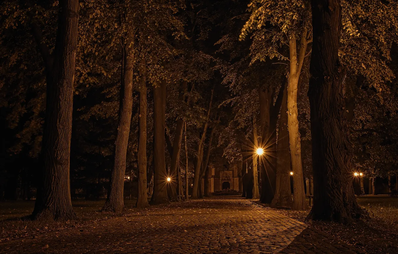Фото обои Landscape, Czech republic, Alley at night