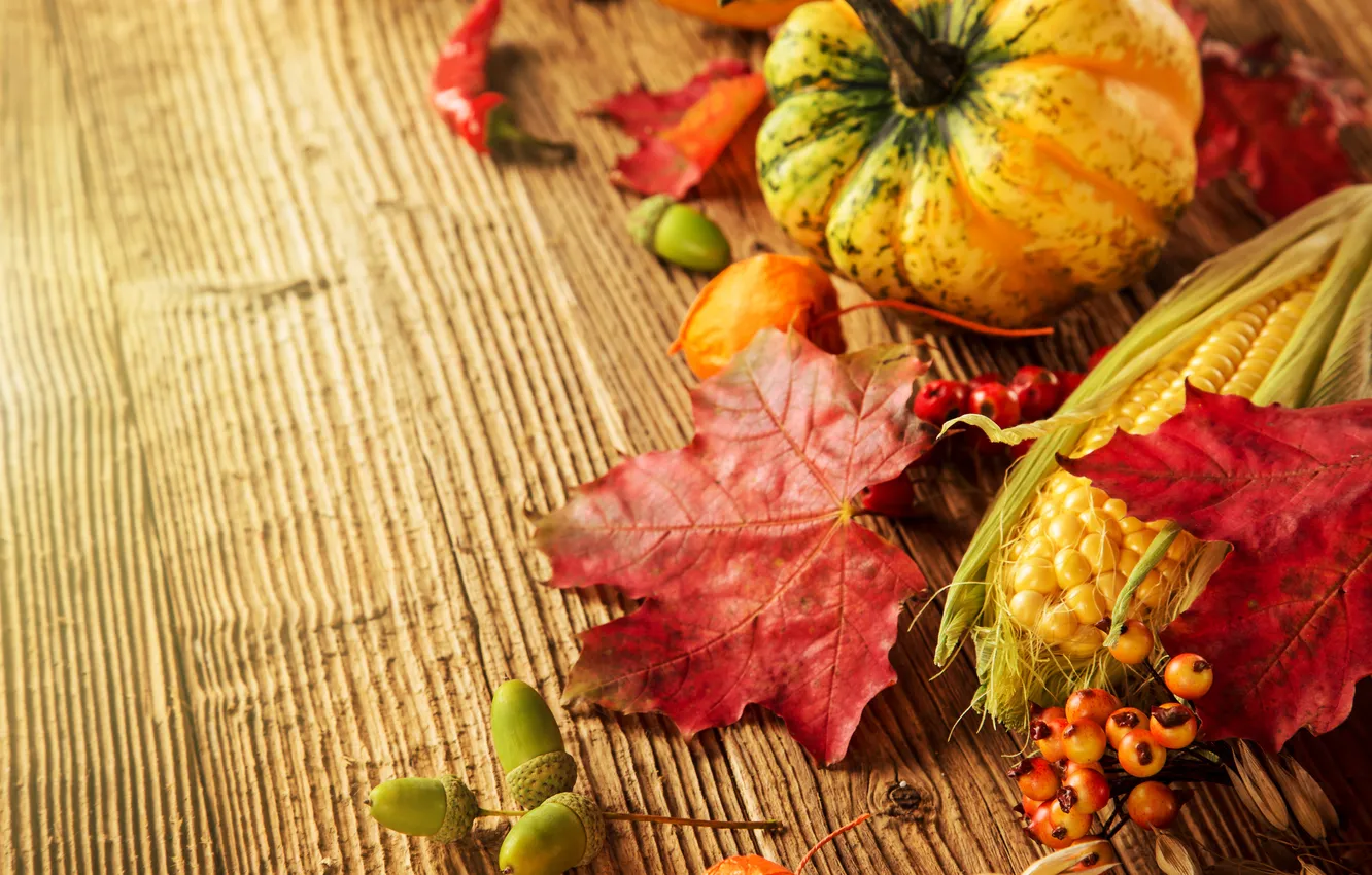 Фото обои осень, листья, ягоды, дерево, кукуруза, урожай, тыква