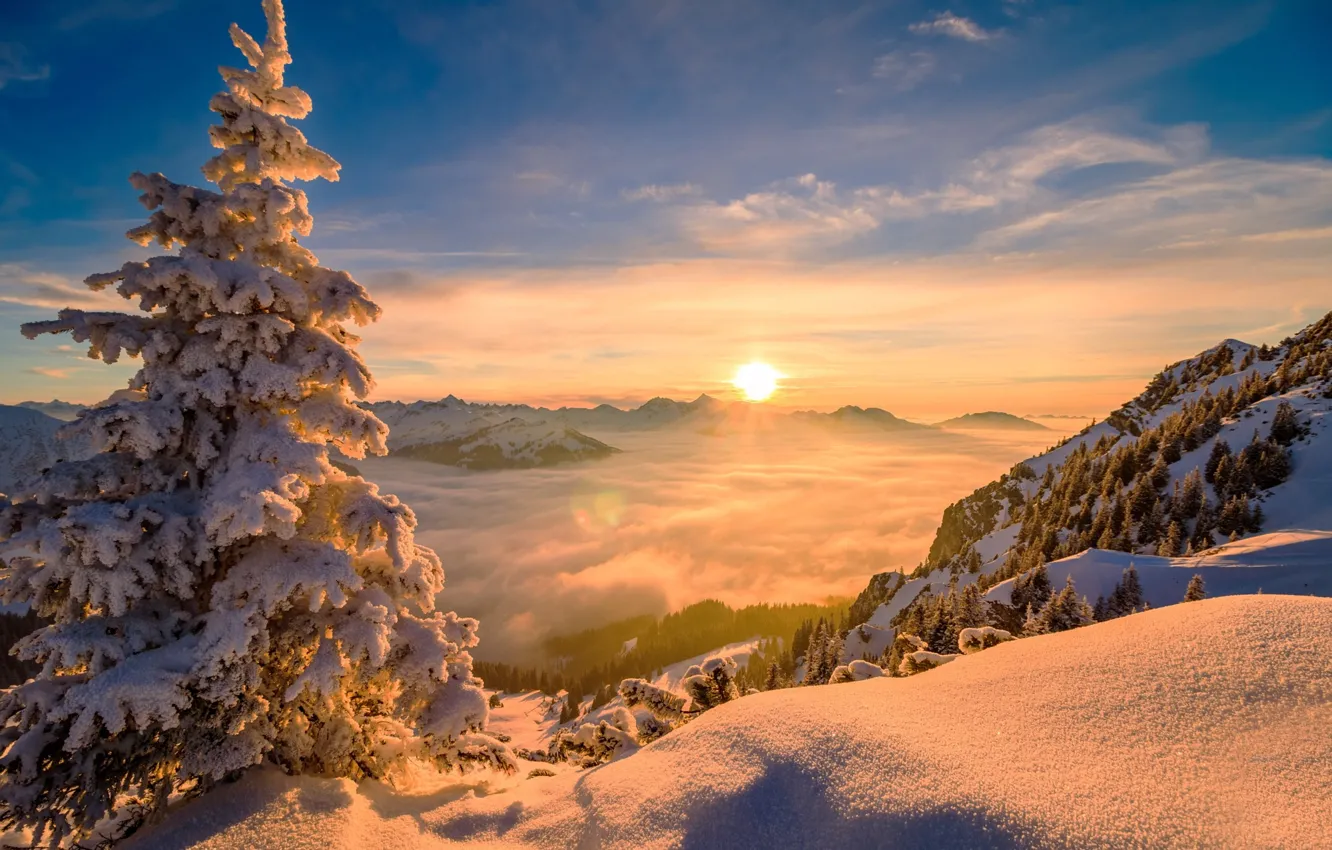 Фото обои зима, солнце, облака, деревья, пейзаж, горы, природа, дерево