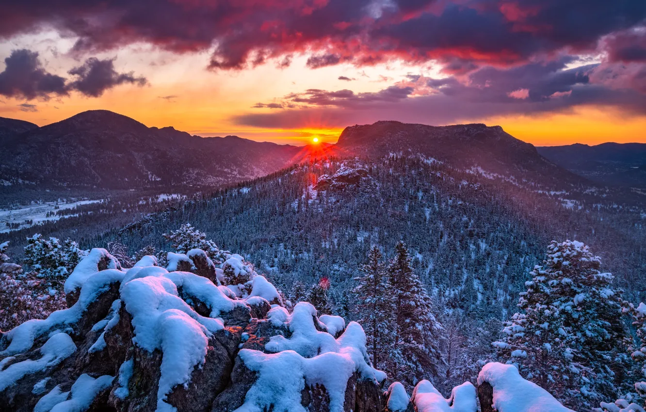 Фото обои зима, лес, снег, горы, восход, рассвет, Колорадо, Colorado