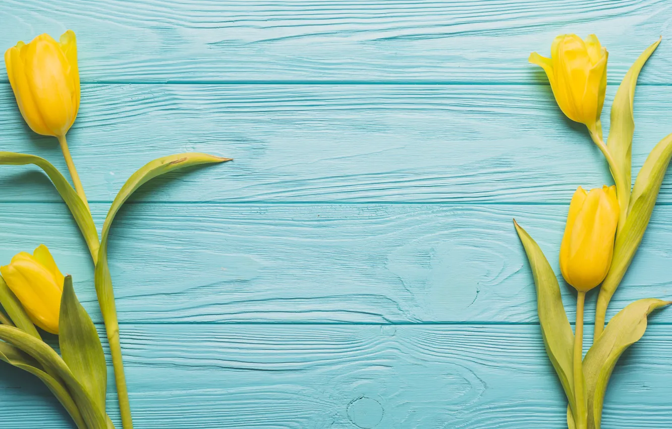 Фото обои цветы, желтый, фон, тюльпаны