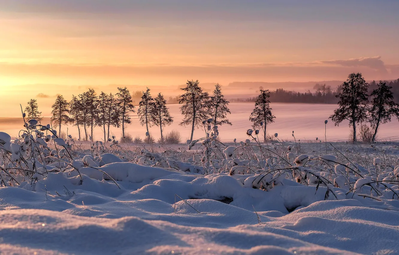 Фото обои зима, снег, деревья, Германия, Бавария, сугробы, Germany, Bavaria