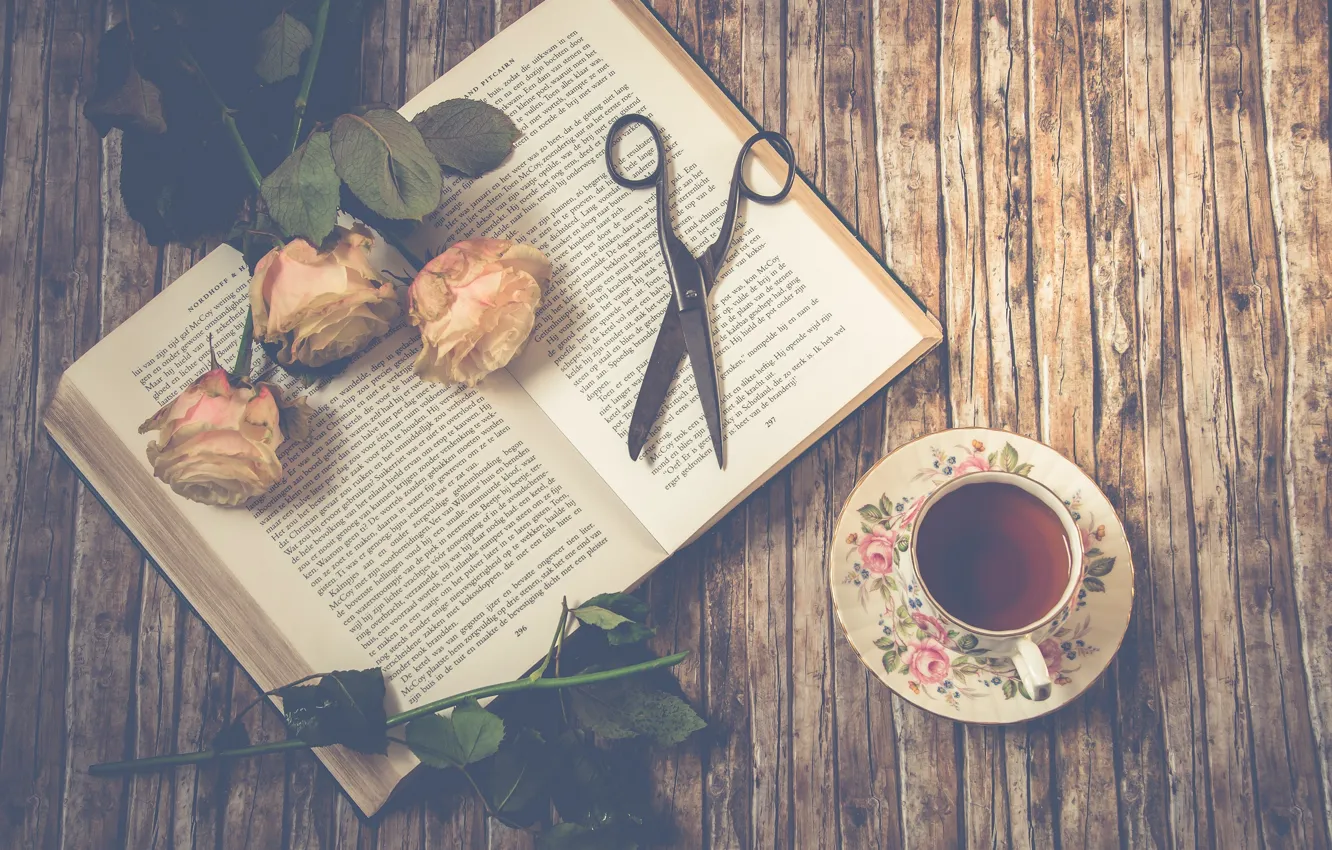 Фото обои цветы, чай, розы, книга, бутоны, ночницы
