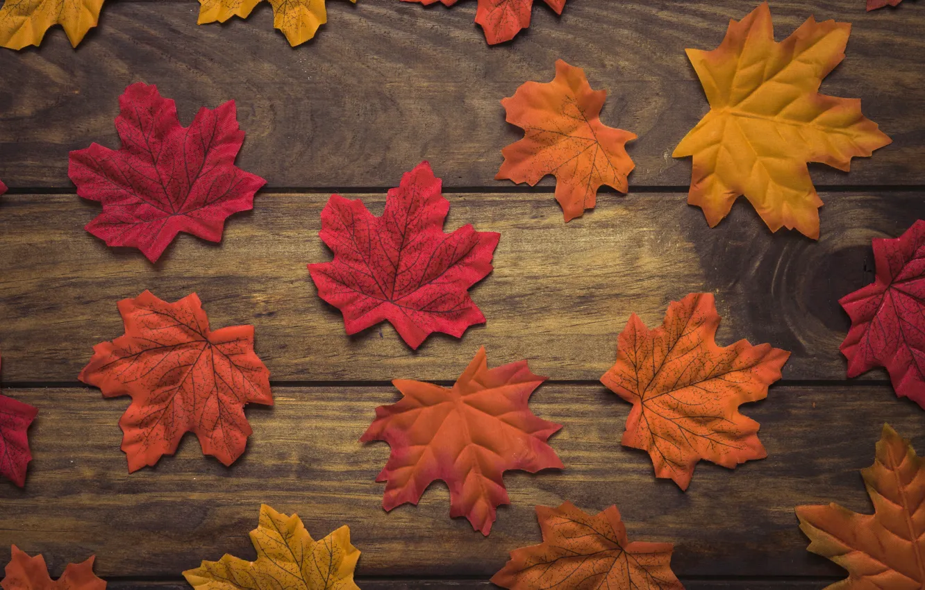 Фото обои осень, листья, фон, дерево, wood, background, autumn, leaves