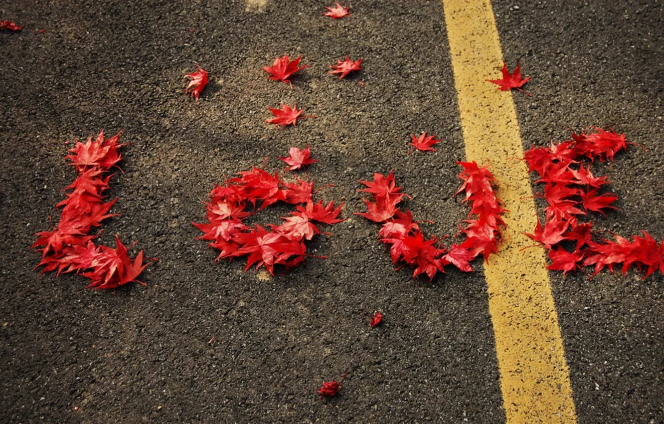 Фото обои colors, red, love, road, photography, photo, beautiful, autumn