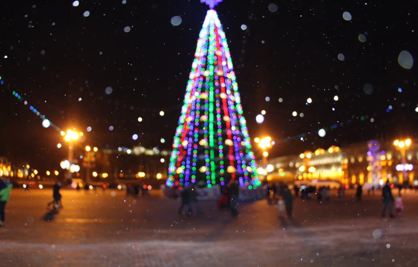Фото обои зима, новый год, ёлка, площадь республики, минск, главная елка