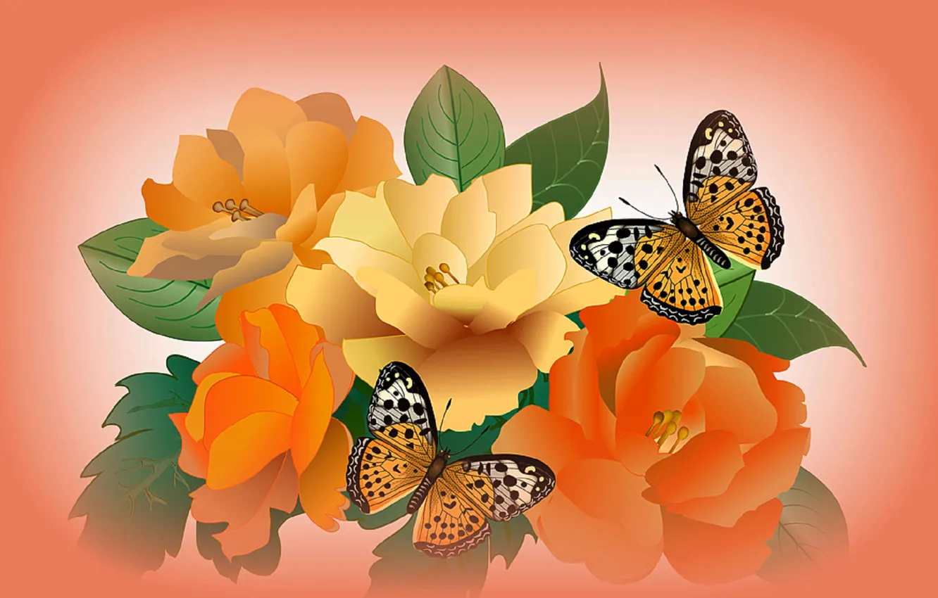 Фото обои цветы, коллаж, бабочка, вектор
