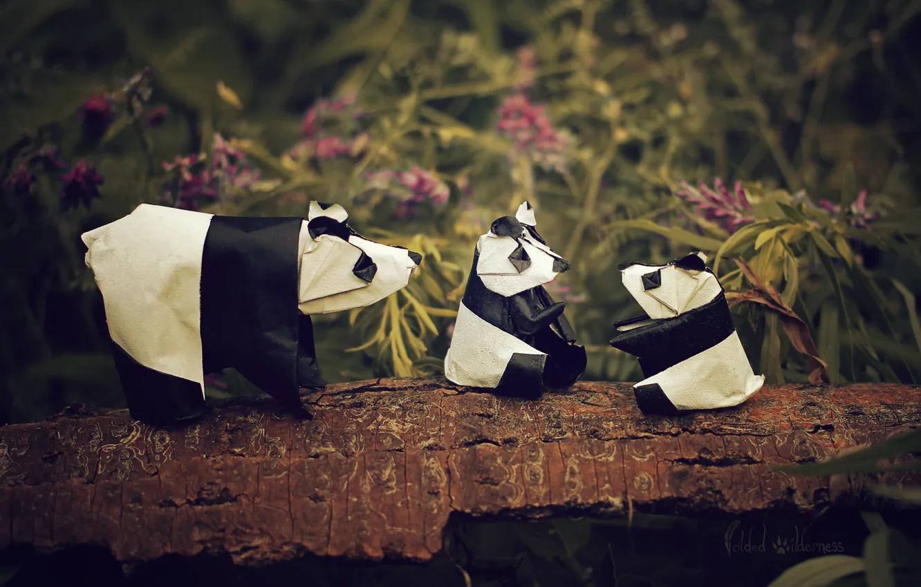 Фото обои цветы, ветка, панда, оригами, панда семьи