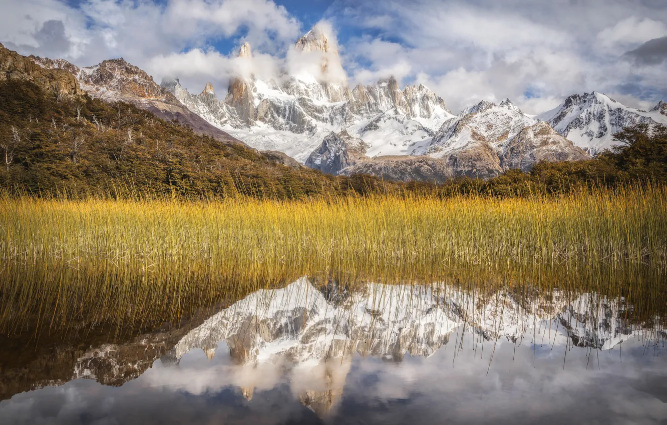 Фото обои горы, озеро, камыш