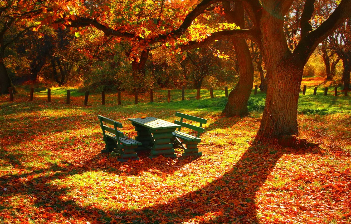 Фото обои листья, деревья, стол, забор, Осень, скамейки