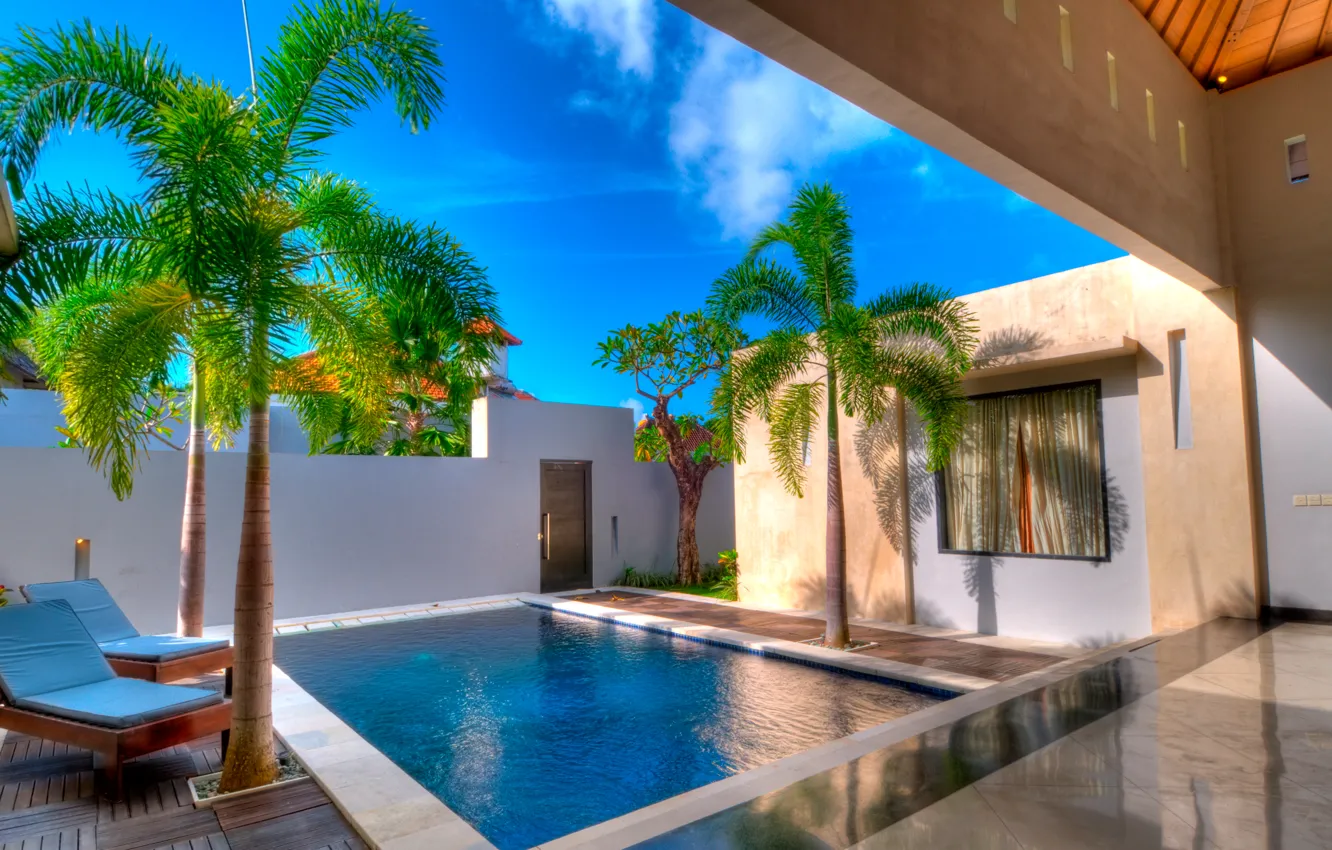 Фото обои пальмы, бассейн, двор, шезлонг