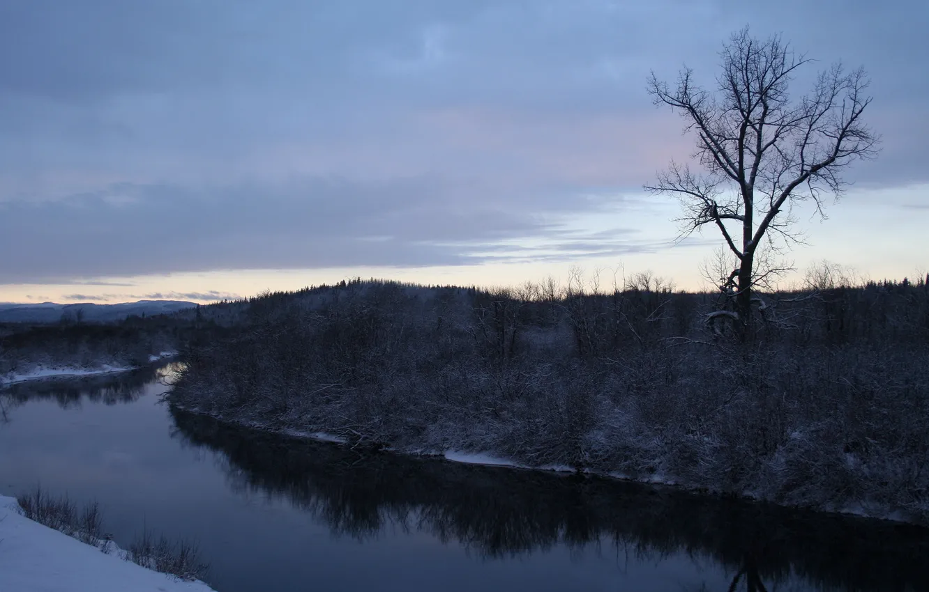 Фото обои снег, деревья, река, Зима