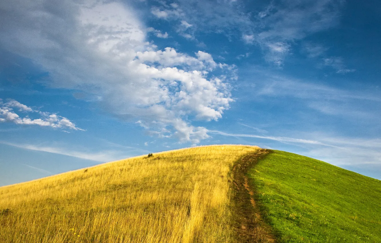 Фото обои зелень, небо, трава, рожь, холм, лето против осени