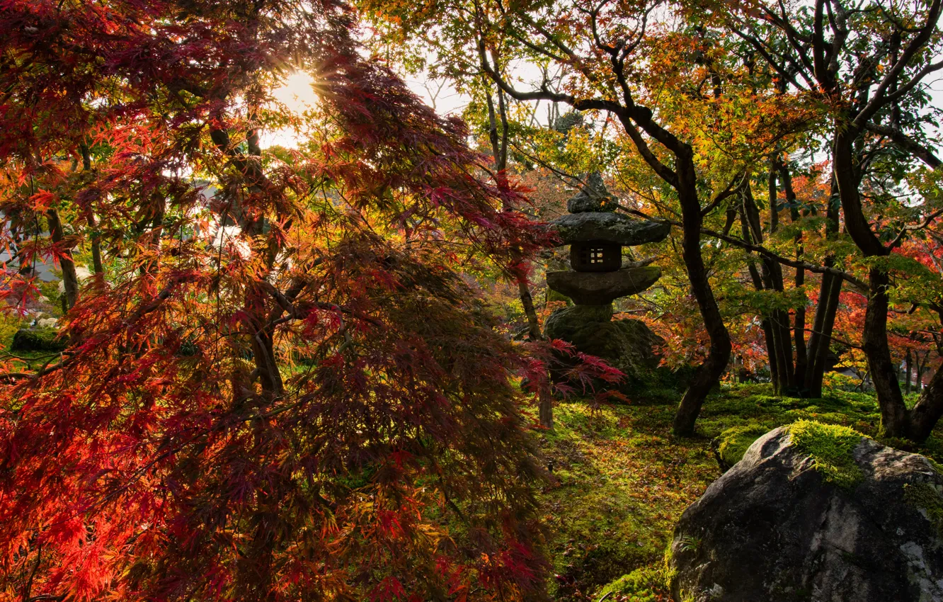 Фото обои осень, солнце, лучи, пейзаж, природа, парк, камни, Япония