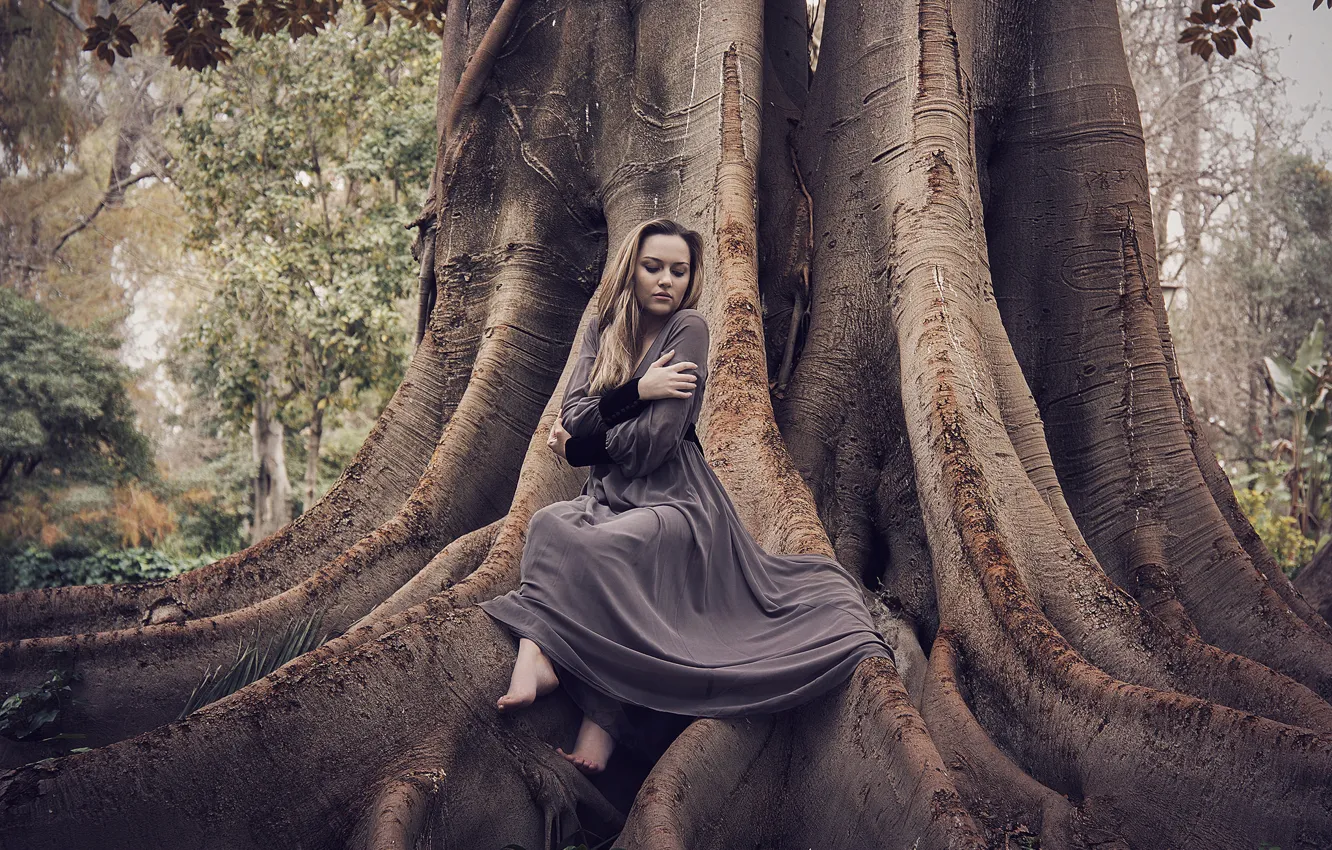 Фото обои девушка, природа, дерево, платье, сидит, Kateryna