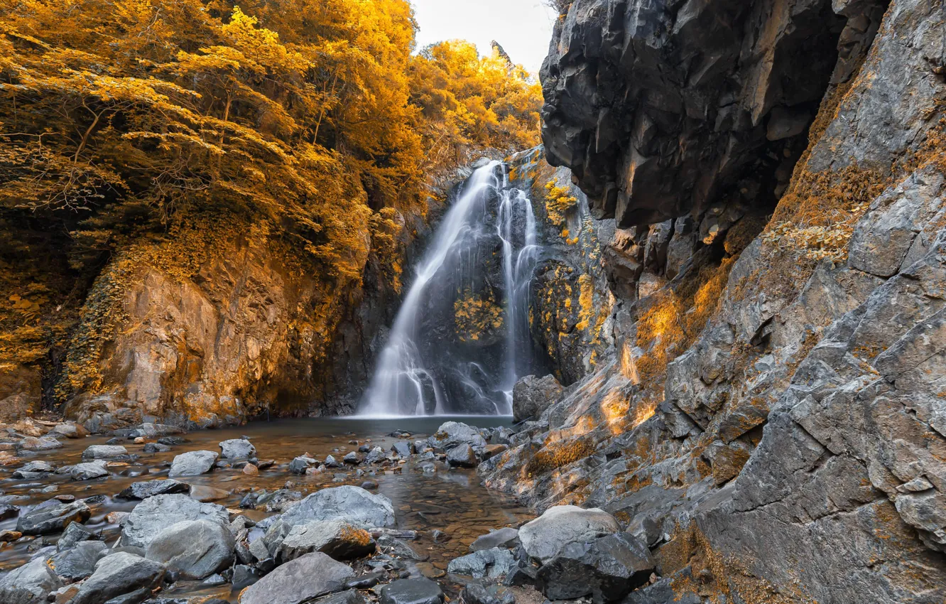 Фото обои осень, лес, деревья, камни, скалы, водопад, желтые, водоем