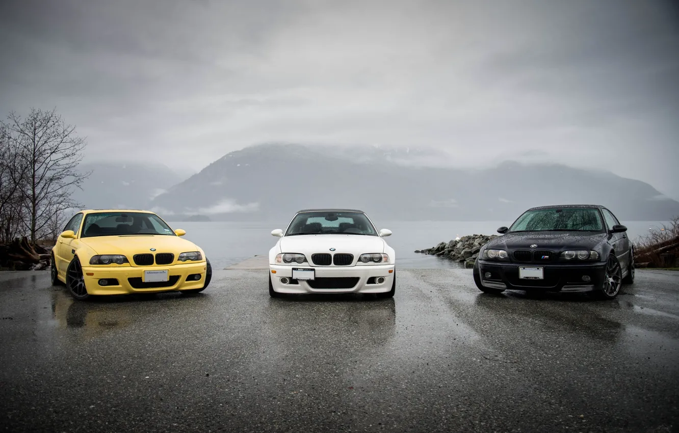 BMW e46 Black and White