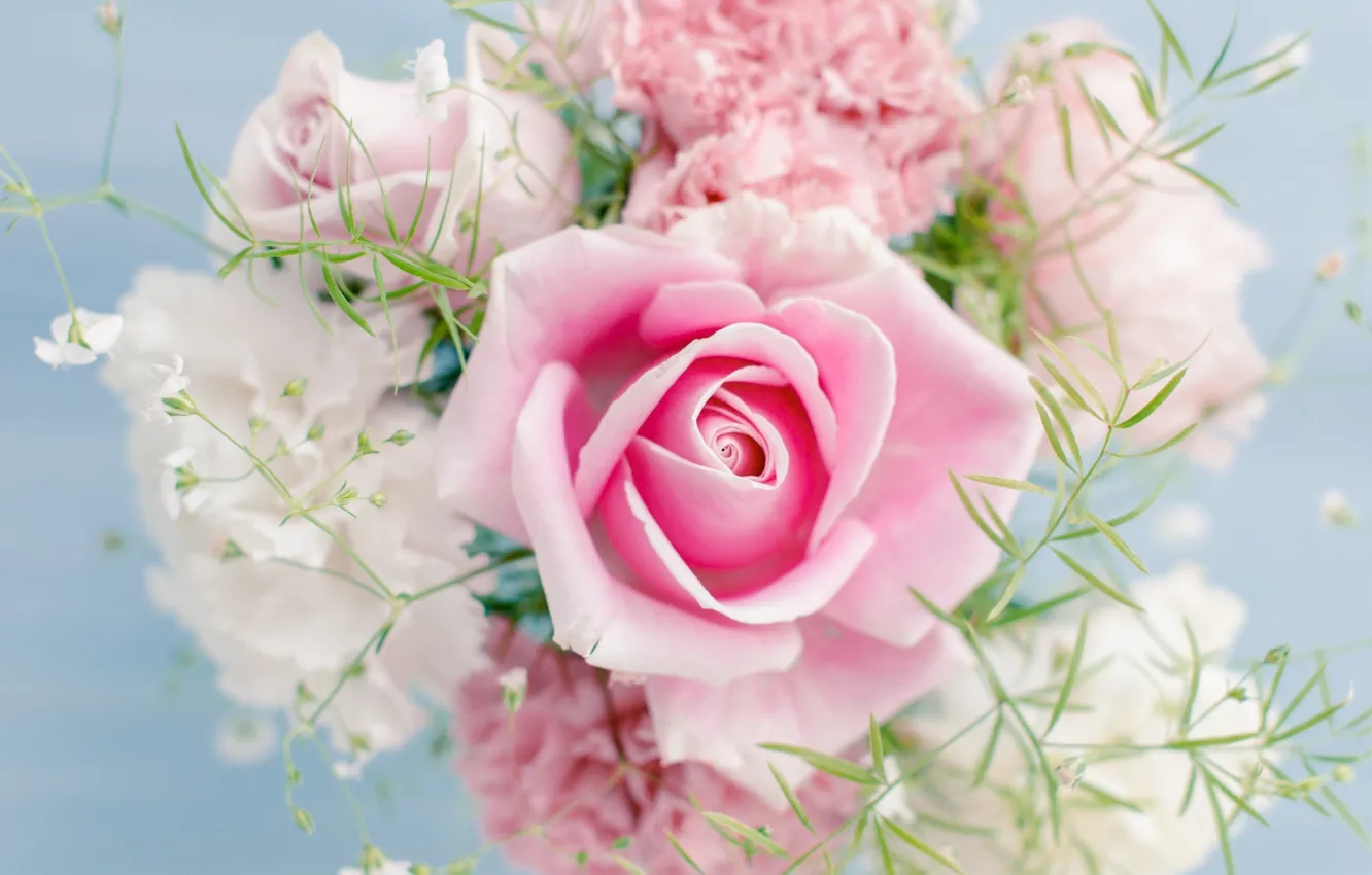 Фото обои цветы, розовый, роза, цвет, букет, светлый, rose, pink