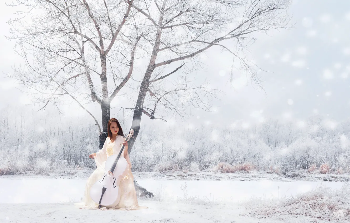 Фото обои зима, девушка, музыка, инструмент