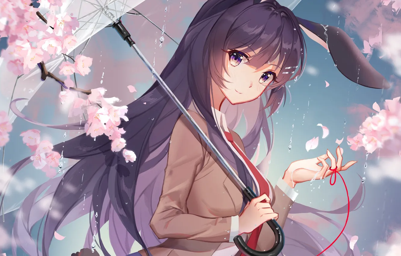 Фото обои девушка, цветы, дождь, зонт, сакура, Seishun Buta Yarou wa Bunny Girl Senpai no Yu