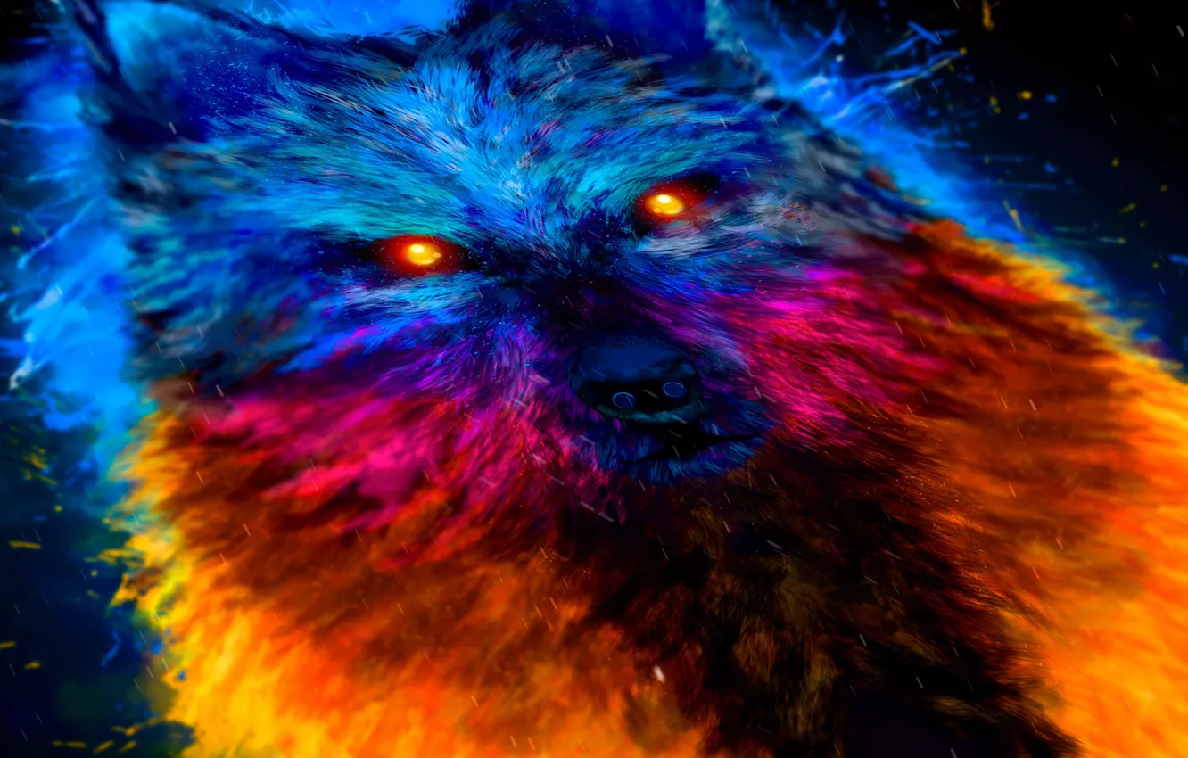 Фото обои глаза, волк, цветной