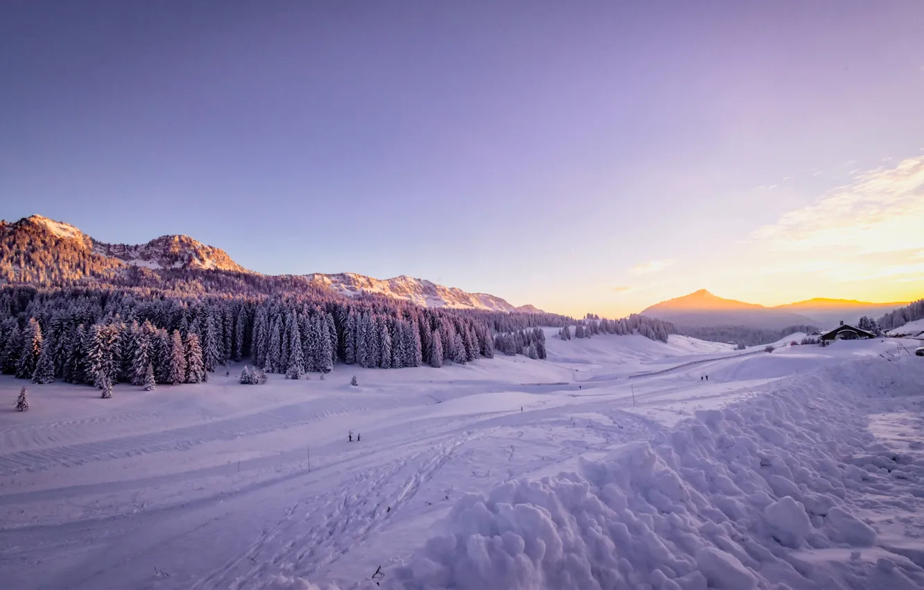 Фото обои Winter, Snow, Sunrise, Forest, Covered, Arctic Circle