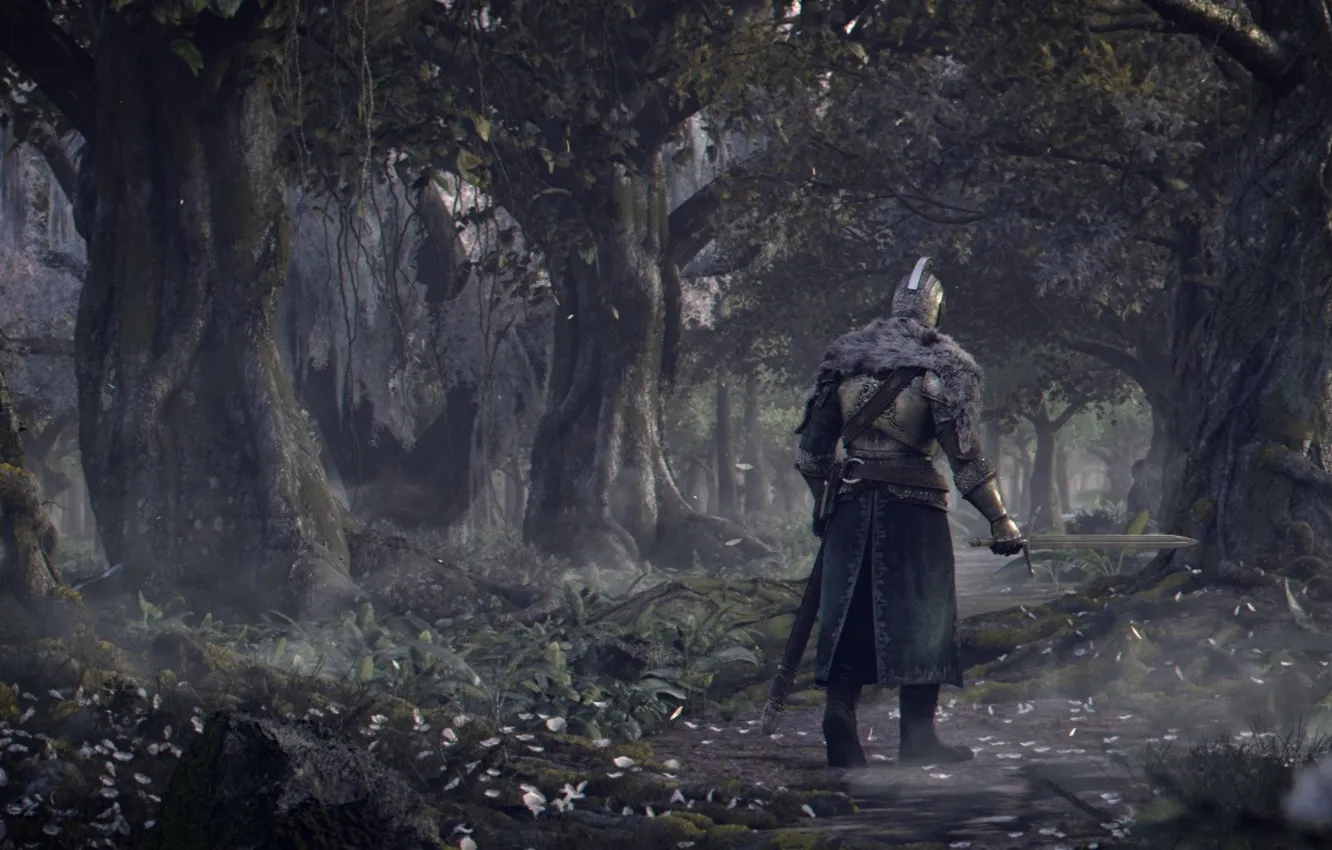 Фото обои game, armor, background, warrior, knight, Dark Souls 2