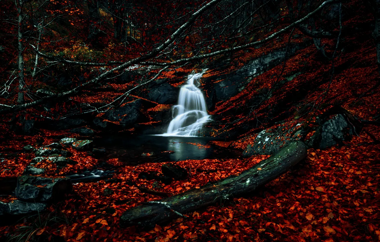 Фото обои осень, природа, река