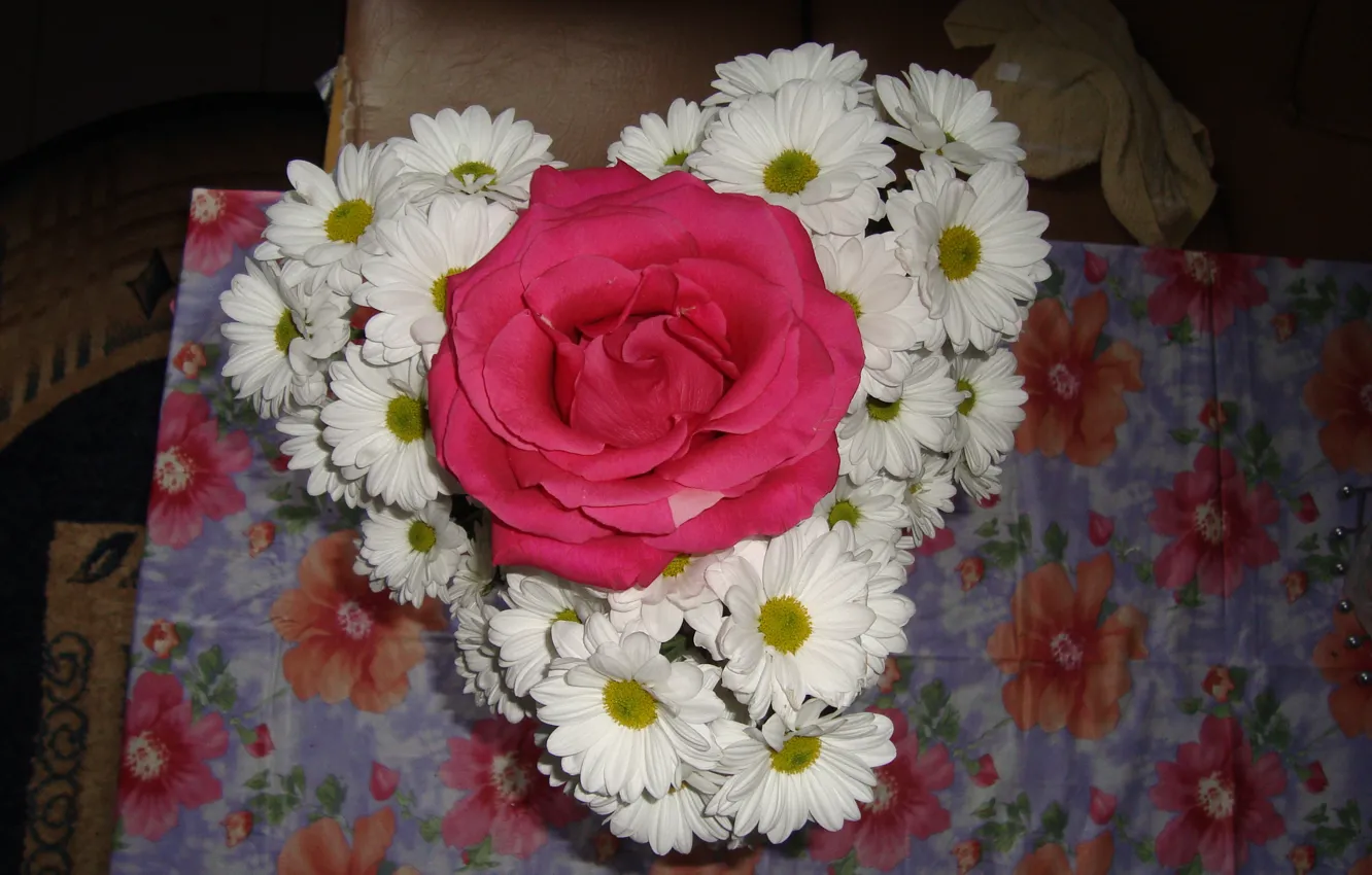 Фото обои романтика, роза, хризантемы, приятности