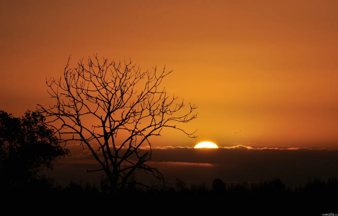 Фото обои nature, sunset, cloud