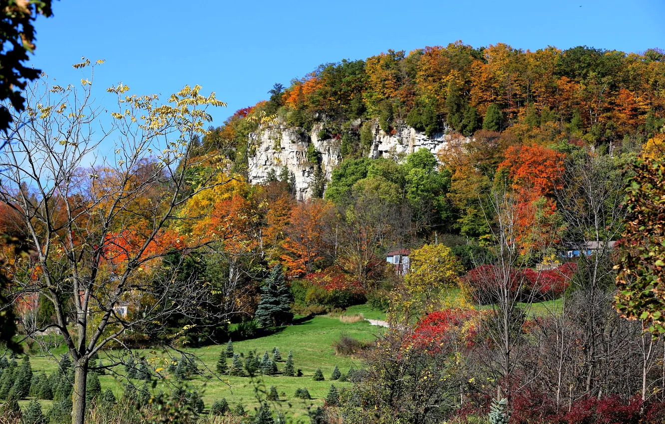 Фото обои осень, трава, деревья, горы, дома, склон, Канада, Онтарио