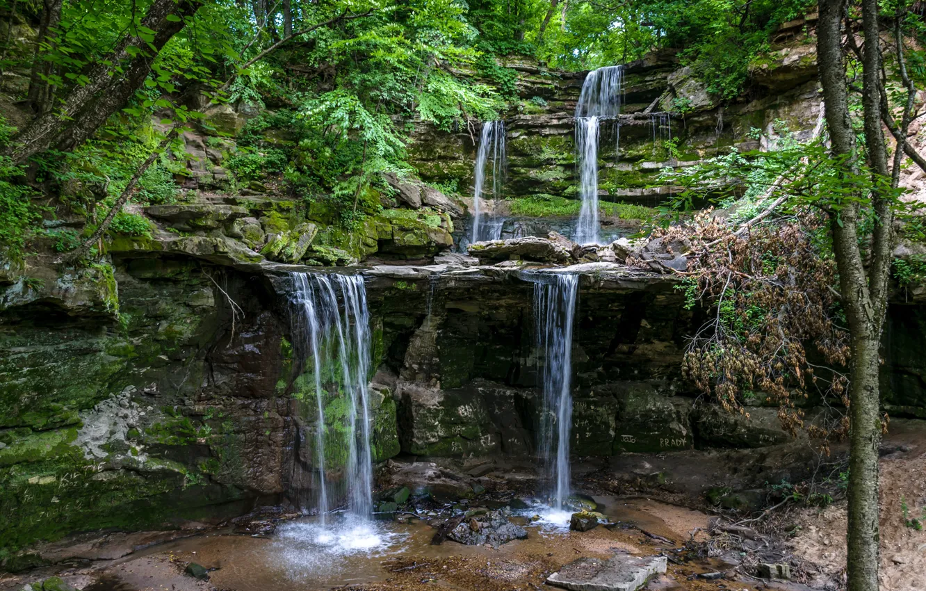 Фото обои зелень, лес, деревья, скала, камни, водопад, мох, США
