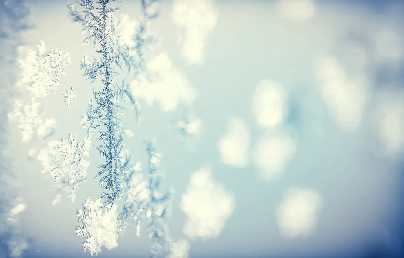 Фото обои холод, зима, фон, узор, текстура