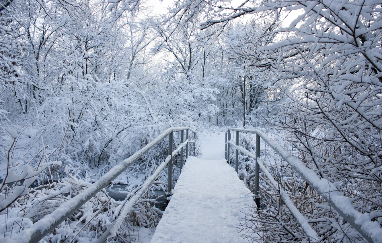 Фото обои зима, снег, деревья, пейзаж, снежинки, мост, природа, зимний