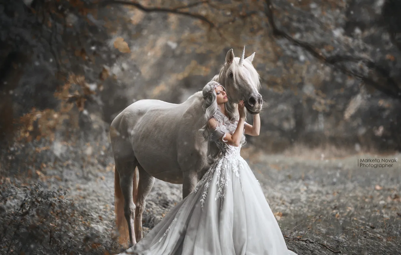 Фото обои девушка, поза, лошадь, платье, Marketa Novak, Bаra Markovа