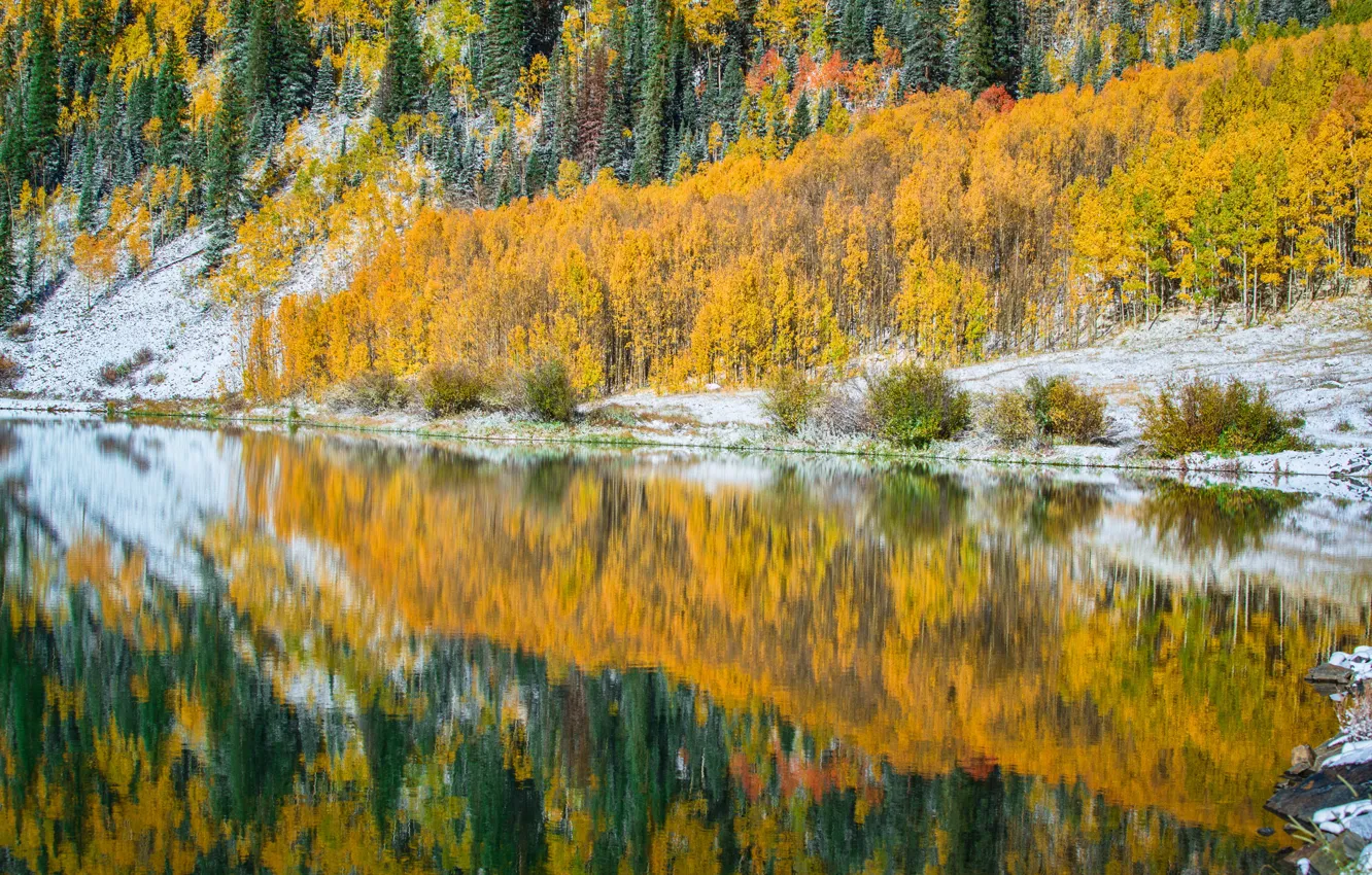 Фото обои осень, деревья, озеро, отражение, Колорадо, США, Crystal Lake