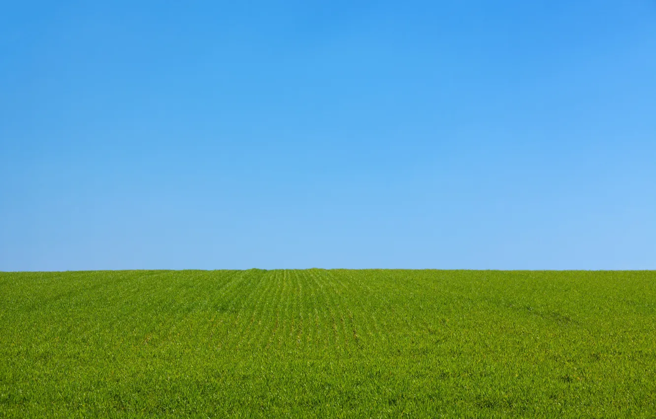 Фото обои поле, небо, трава, пейзаж, природа, горизонт, grass, sky