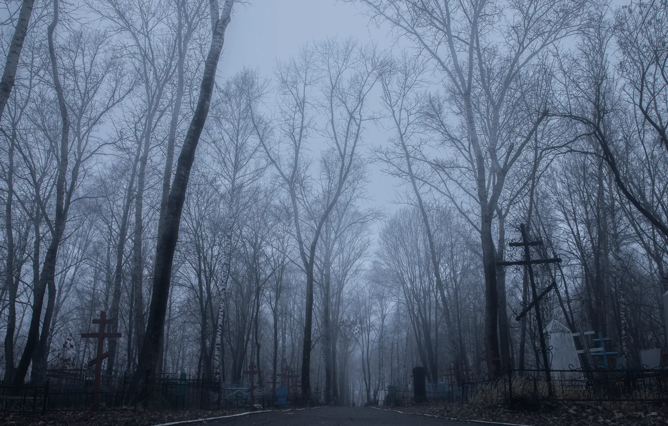 Фото обои грусть, туман, кладбище, horror, депрессия, таинственность, тоска, fog